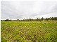 Elimbah QLD 4516