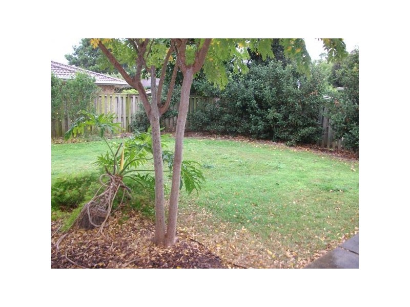 5 Fintona Close, Boondall QLD 4034