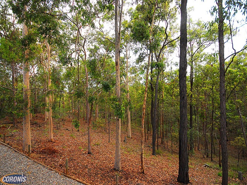 Warner QLD 4500