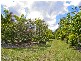 Upper Caboolture QLD 4510