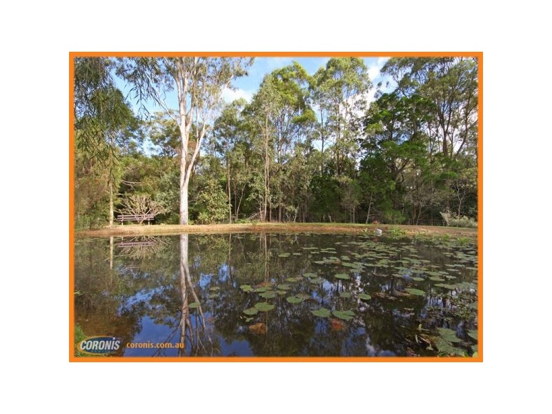 99 Beacon Street, Morayfield QLD 4506