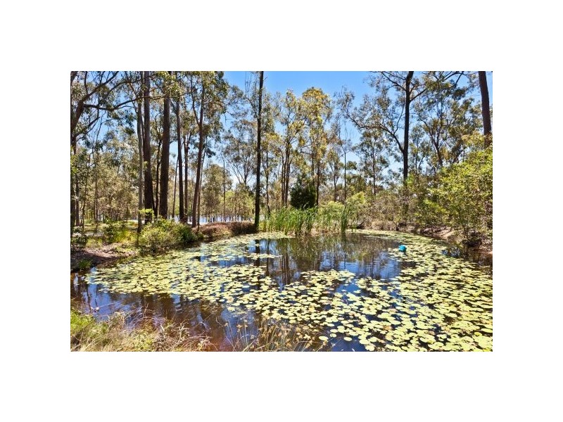 105 Torrens Road, Petrie QLD 4502