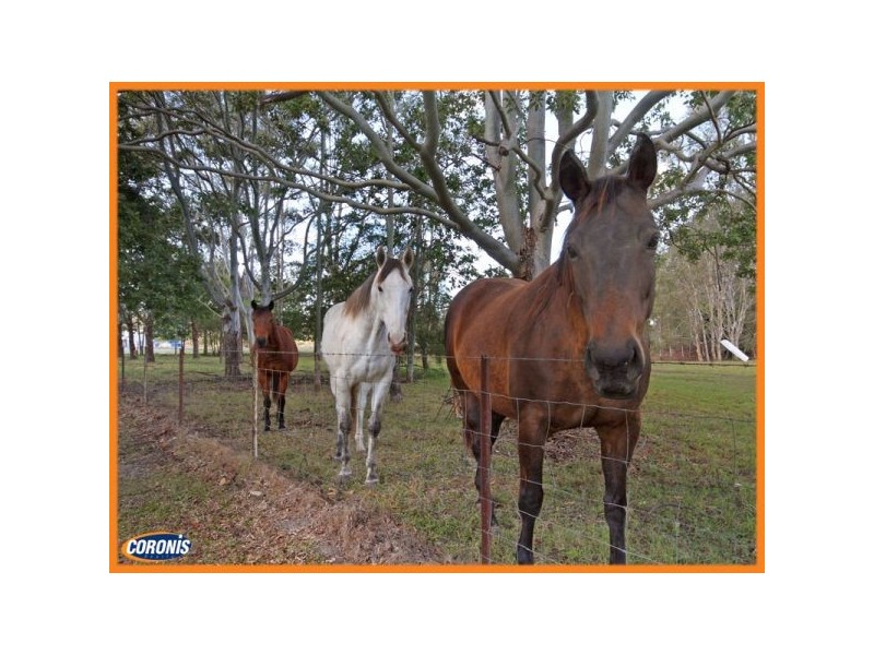 26 Taylor Road, Burpengary QLD 4505