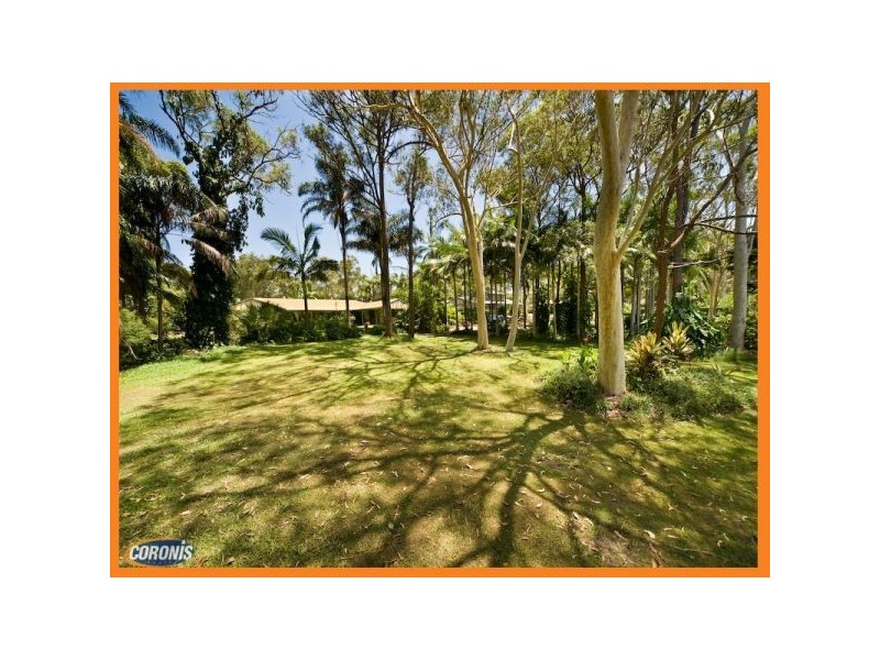 6 Firtree Street, Capalaba QLD 4157