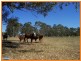 Deception Bay QLD 4508
