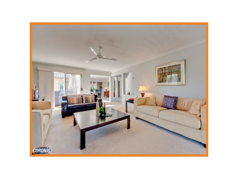 31 Macaranga Crescent, Carseldine QLD 4034