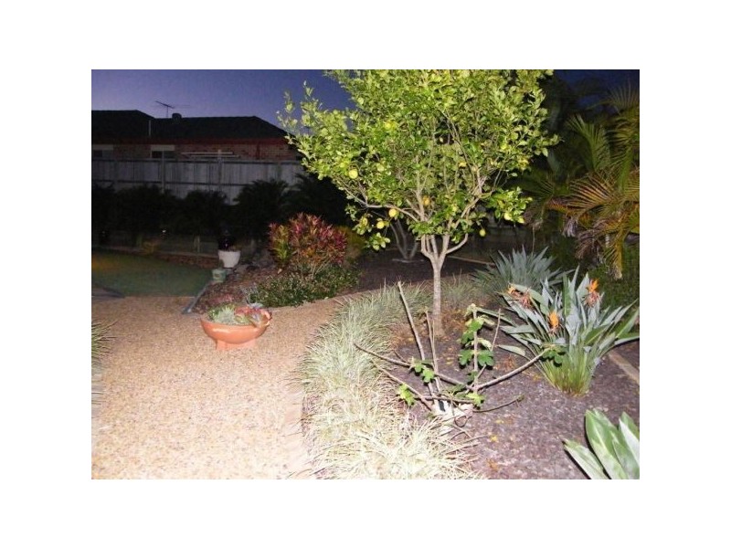 North Lakes QLD 4509
