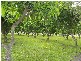 Mango Hill QLD 4509