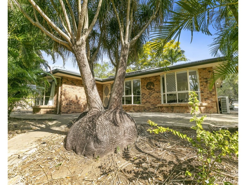 71 Firetail Court, Morayfield QLD 4506