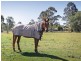 56 Mathew Crescent, Burpengary QLD 4505