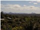 12 Areca Court, Narangba QLD 4504
