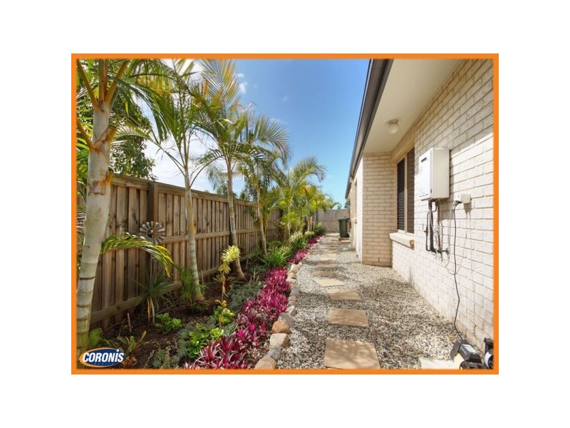 24 Tuckeroo Parade, North Lakes QLD 4509