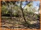 11 Carnoustie Court, Cornubia QLD 4130