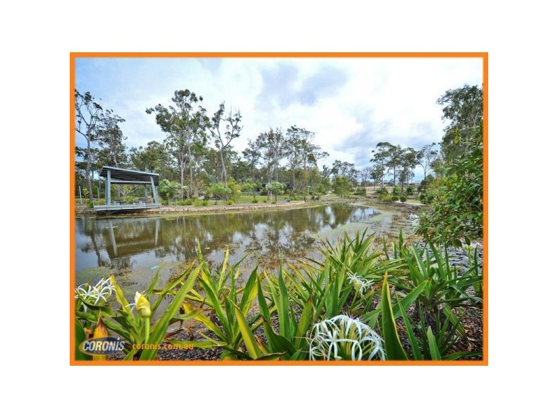 8  Blackall Street, Coomera QLD 4209