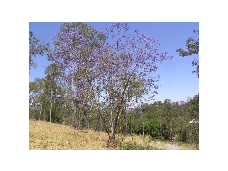 35 Winrock Street, Brookfield QLD 4069