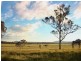 Cedar Grove QLD 4285
