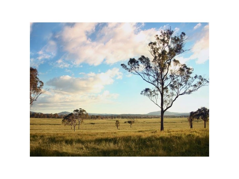Cedar Grove QLD 4285
