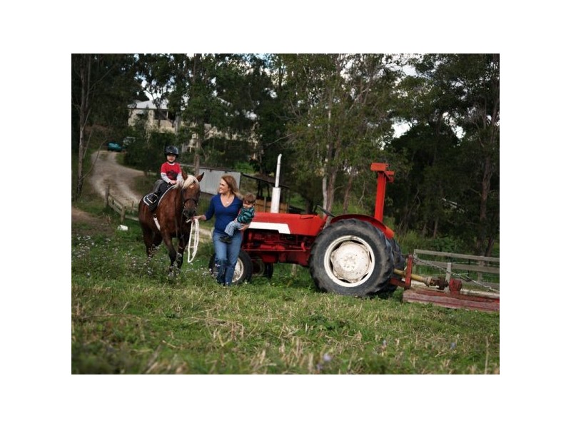 Cedar Grove QLD 4285