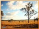 Lot 16 Edenvale Estate, Irwin Road, Cedar Grove QLD 4285