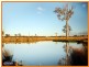Lot 16 Edenvale Estate, Irwin Road, Cedar Grove QLD 4285