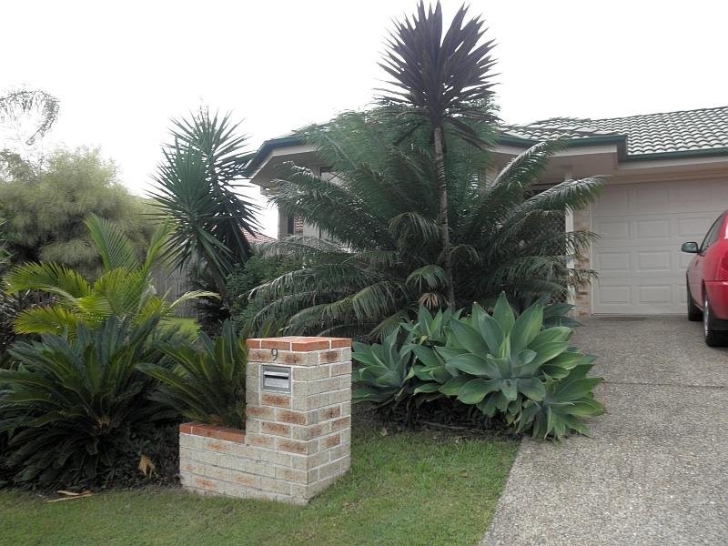 9 Ireland Way, Upper Coomera QLD 4209