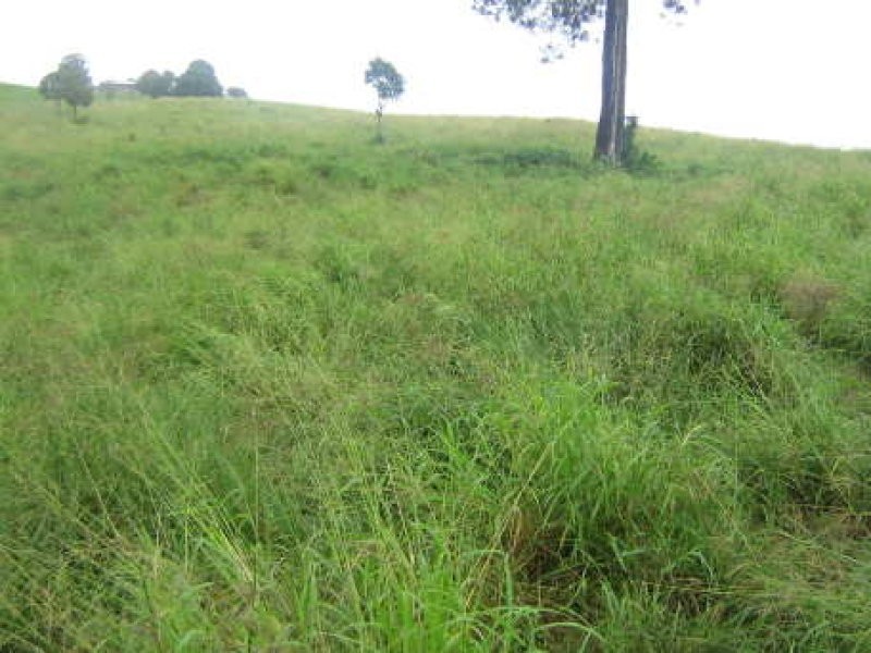 Bergen QLD 4353