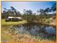 20 Reed Place, Maudsland QLD 4210