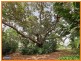 42 Carol-Anne Cresent, Narangba QLD 4504