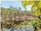 71 Kriedeman Road, Upper Coomera QLD 4209