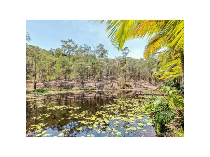 71 Kriedeman Road, Upper Coomera QLD 4209