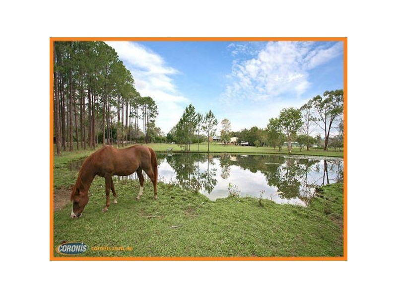 126 Mackney Road, Upper Caboolture QLD 4510