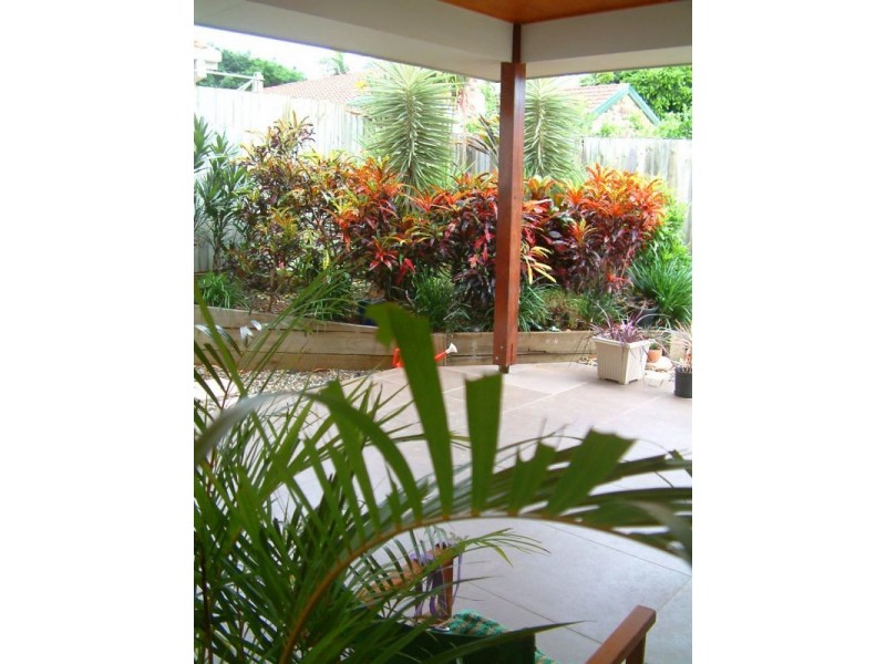 133 Graham Road, Carseldine QLD 4034