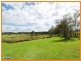 Cedar Grove QLD 4285