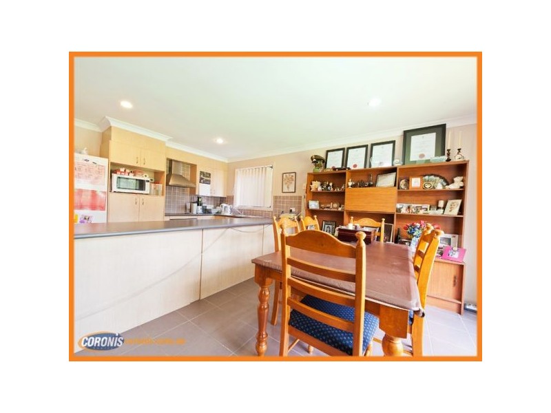 50 Silver Gull Street, Coomera QLD 4209