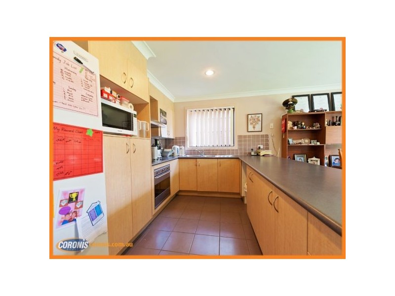 50 Silver Gull Street, Coomera QLD 4209