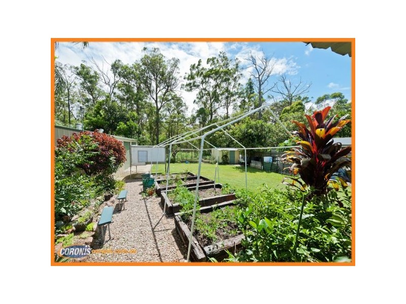 62 Begonia Street, Browns Plains QLD 4118