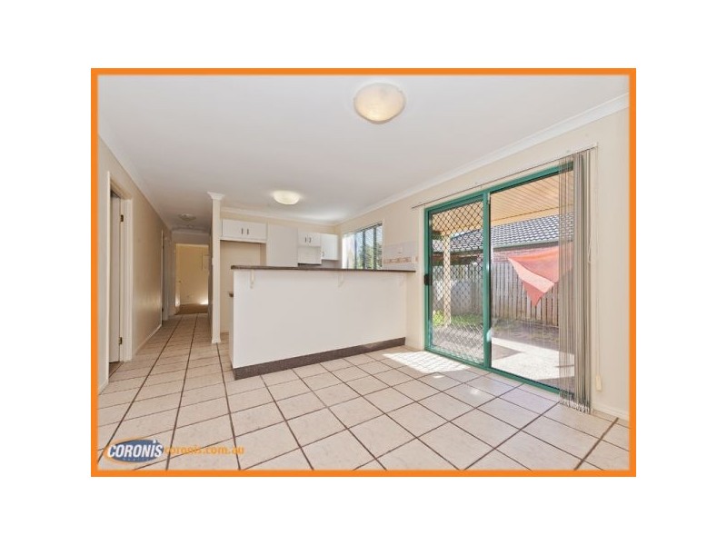 17 Musk Avenue, Upper Coomera QLD 4209