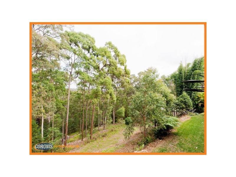 319 Wongawallan Drive, Wongawallan QLD 4210