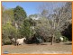 24 Vores Road, Whiteside QLD 4503