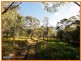 Lot 305 Tamborine Mountain Road, Canungra QLD 4275