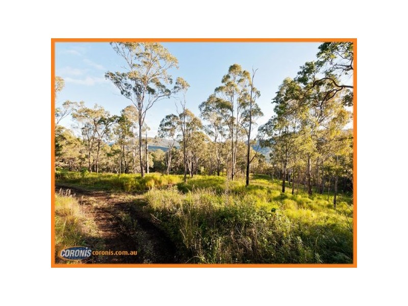 Lot 305 Tamborine Mountain Road, Canungra QLD 4275