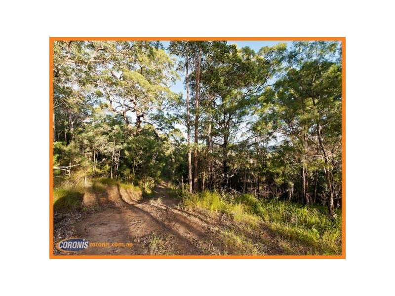 Lot 304 Tamborine Mountain Road, Canungra QLD 4275