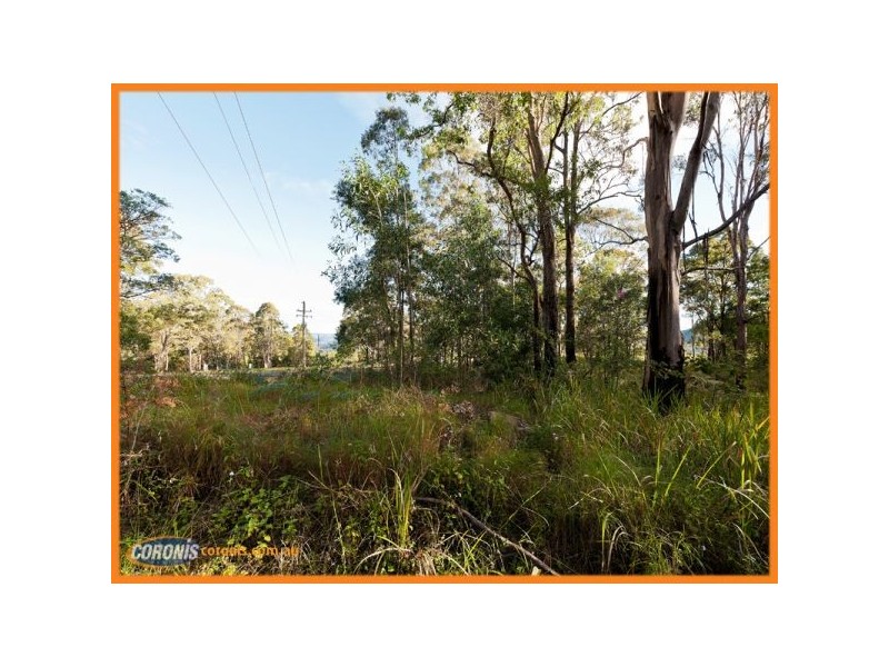 2246 Tamborine Mountain Road, Tamborine Mountain QLD 4272