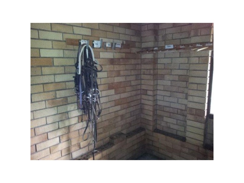 7 Oak Street, Nerang QLD 4211