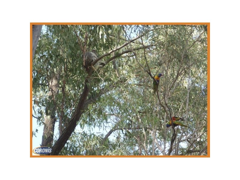 27 Barker Street, Cashmere QLD 4500