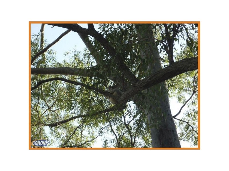 27 Barker Street, Cashmere QLD 4500