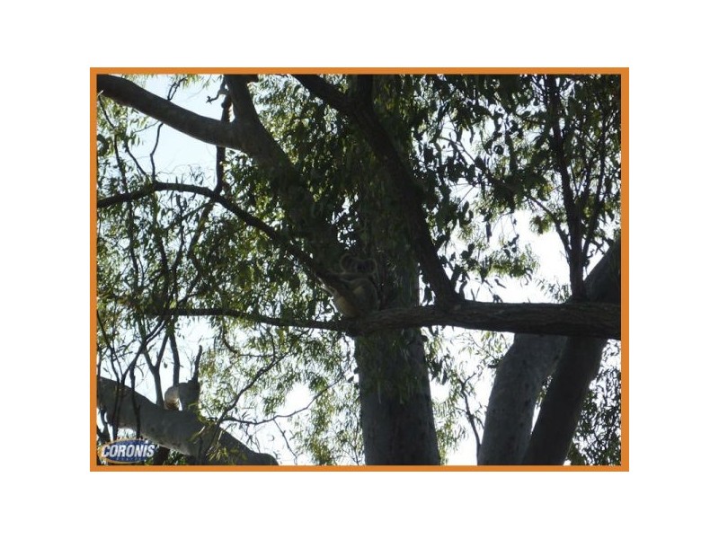 27 Barker Street, Cashmere QLD 4500