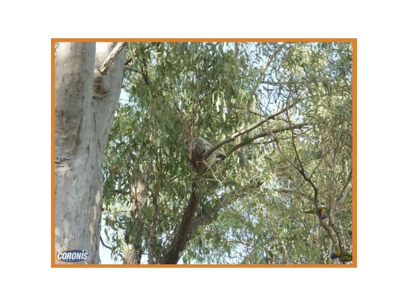 27 Barker Street, Cashmere QLD 4500