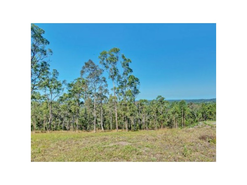 156 Fairview Drive, Willow Vale QLD 4209