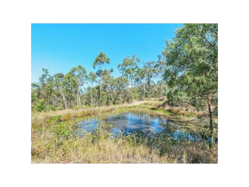 156 Fairview Drive, Willow Vale QLD 4209